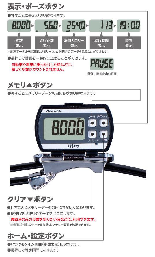 【万歩計・歩数計】バックル万歩計（牛革ベルト万歩計）　BM-950