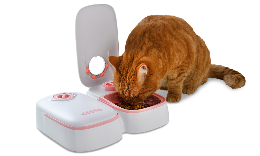 通電確認済み⭐️ ✨新品未使用✨自動給餌器　猫 犬 ペット給餌機 自動餌やり器