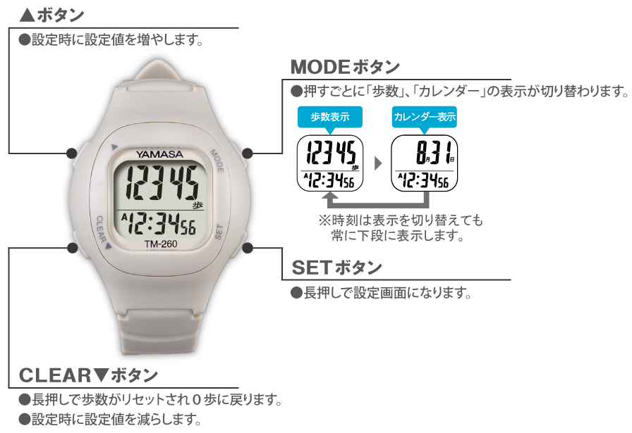 【万歩計®・歩数計(腕時計、メンズ、レディース、レギュラーモデル)】ウォッチ万歩計 WATCH MANPO TM-260(ウォッチタイプ万歩計、腕時計型万歩計、腕時計タイプ万歩計、単機能、かんたん、簡単、カロリー、ダイエット、ウォーキング、健康、散歩、運動、エクササイズ、健康生活)